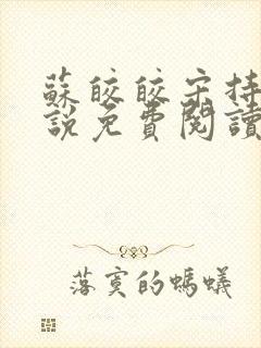 苏皎皎宋持的小说免费阅读