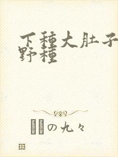 下种大肚子怀孕野种