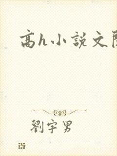 高h小说文阅读