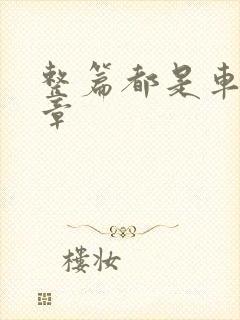 整篇都是车的文章