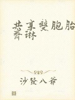 共享双胞胎齐娜齐琳封面