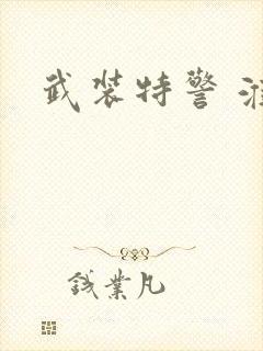 武装特警 淮上封面