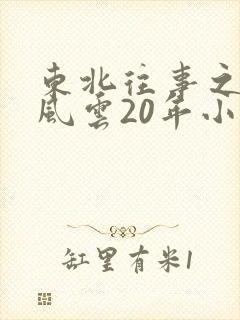 东北往事之黑道风云20年小说