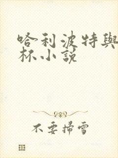 哈利波特与火焰杯小说