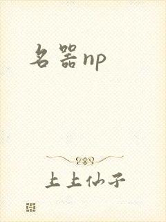 名器np