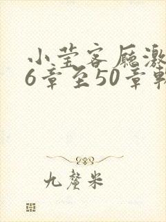 小莹客厅激情46章至50章软件介绍