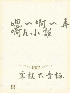 嗯～啊～弄嗯～啊h小说