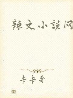 辣文小说网