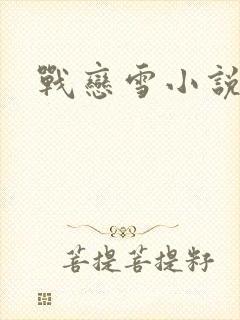 战恋雪小说