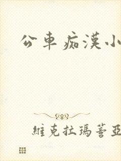 公车痴汉小说封面