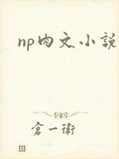 np肉文小说