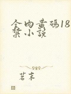全肉黄码18无禁小说