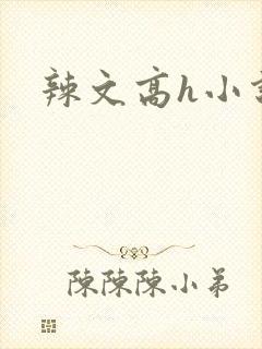 辣文高h小说封面