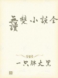 无双小说全文阅读封面
