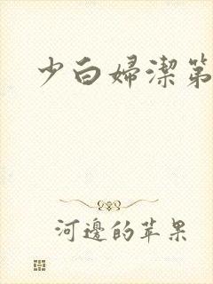 少白妇洁第二部