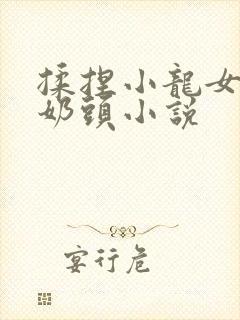 揉捏小龙女粉嫩奶头小说
