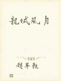 龙城风月封面