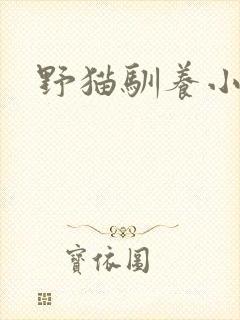 野猫驯养小说