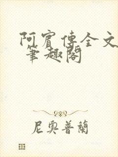 阿宾传全文阅读 笔趣阁