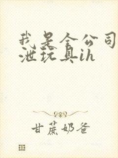 我是全公司的发泄玩具ih