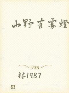 山野有雾灯封面