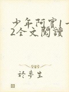 少年阿宾1一72全文阅读