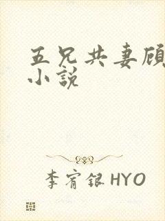 五兄共妻顾心儿小说封面