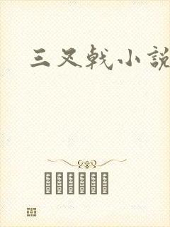 三叉戟小说