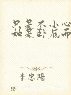 只是不小心发现她是卧底而已封面