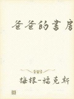 爸爸的书房小说