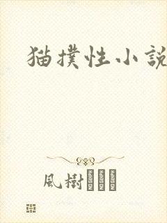 猫扑性小说