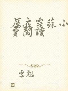 厉夜霆苏小汐免费阅读