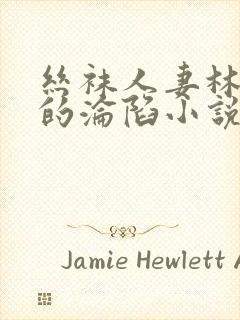 丝袜人妻林婉芸的沦陷小说免费阅读封面