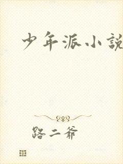 少年派小说