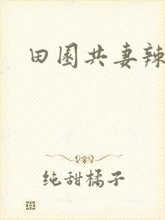 田园共妻辣