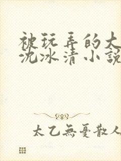 被玩弄的大小姐沈冰清小说封面