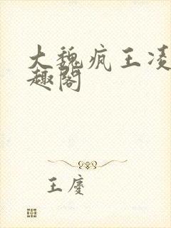 大魏疯王凌宁笔趣阁