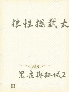 狼性总裁太凶猛