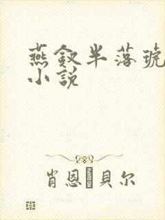 燕钗半落琥珀糖小说
