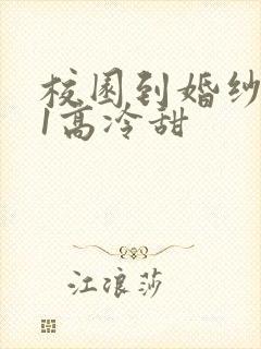 校园到婚纱1V1高冷甜封面