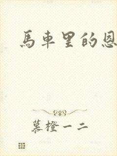 马车里的恩爱封面
