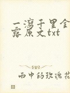 一泻千里金银花露原文txt