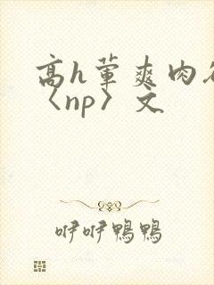 高h荤爽肉欲文〈np〉文