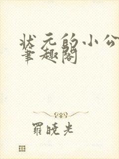 状元的小公主 笔趣阁