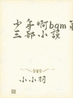 少年啊bgm第三部小说