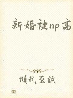 新婚被np高h封面