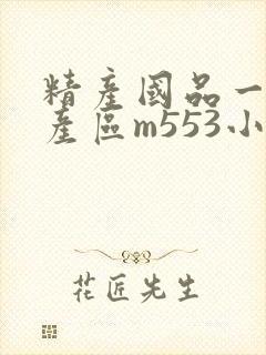 精产国品一二三产区m553小说封面