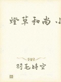 灯草和尚 小说