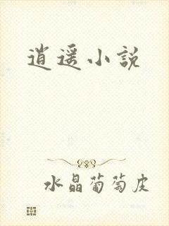 逍遥小说
