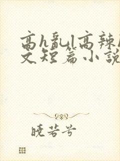 高h乱l高辣h文短篇小说男男